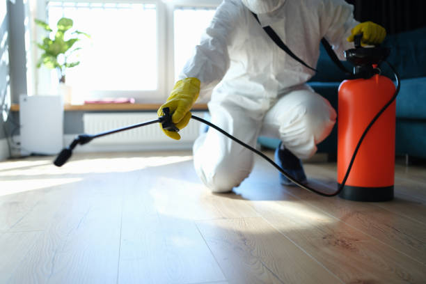 Reliable Blood Cleanup contractor in Arcadia, CA by Trauma Clean Pros